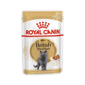 Royal Canin FBN British Shorthair Patê - Image 2