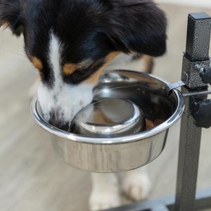 Trixie Gamela em Inox Slow Feeding - Image 8