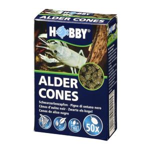 Hobby Alder Cones - Image 1