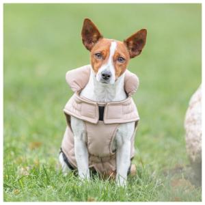 Trixie Capa Impermeável Lesmont para Cães - Image 10