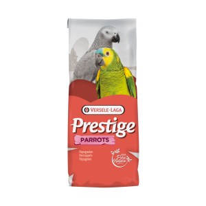 Prestige Papagaios - Image 2