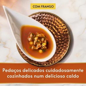 Gourmet Soup Royale Frango - Image 2