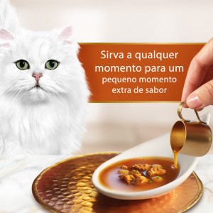 Gourmet Soup Royale Frango - Image 4