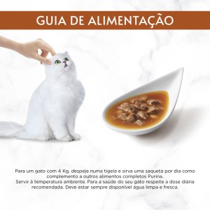 Gourmet Soup Royale Frango - Image 7