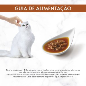 Gourmet Soup Royale Salmão - Image 7